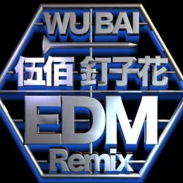 热泪暗班车歌词 - 伍佰   (Lil Pan & Double Remix)