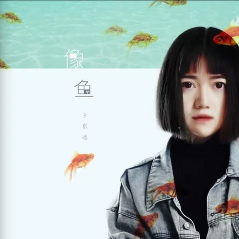 像鱼歌词 - 王贰浪