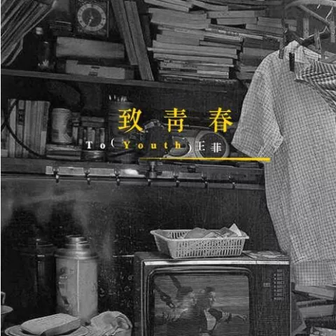 致青春 歌词 - 王菲 电影《致我们终将逝去的青春》主题曲