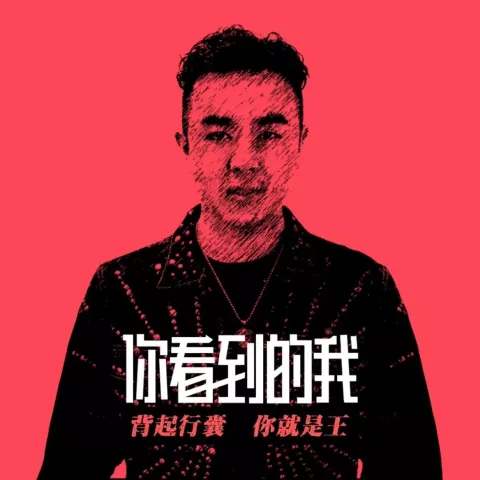 你看到的我 歌词 - 任书怀