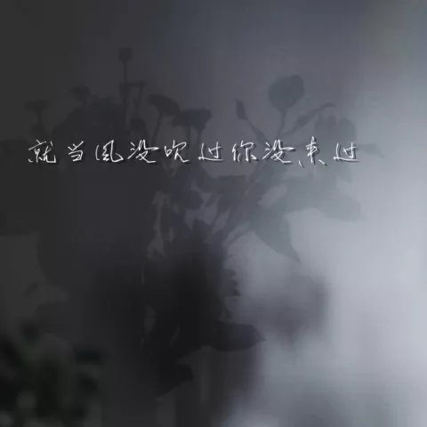 就当风没吹过你没来过 歌词 - 盛喆/夜星辰