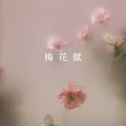 梅花赋