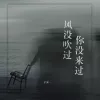  风没吹过你没来过 歌词 - 洋澜一